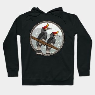 hornbill beautiful bird Hoodie